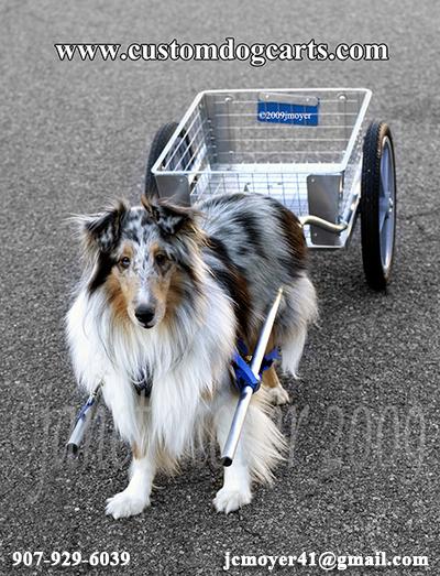 CUSTOMDOGCARTS.COM - current  business card showing the lightweight aluminum dog cart